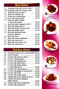 Lotus House Chinese takeaway Martock food menu