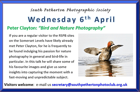 South Petherton event