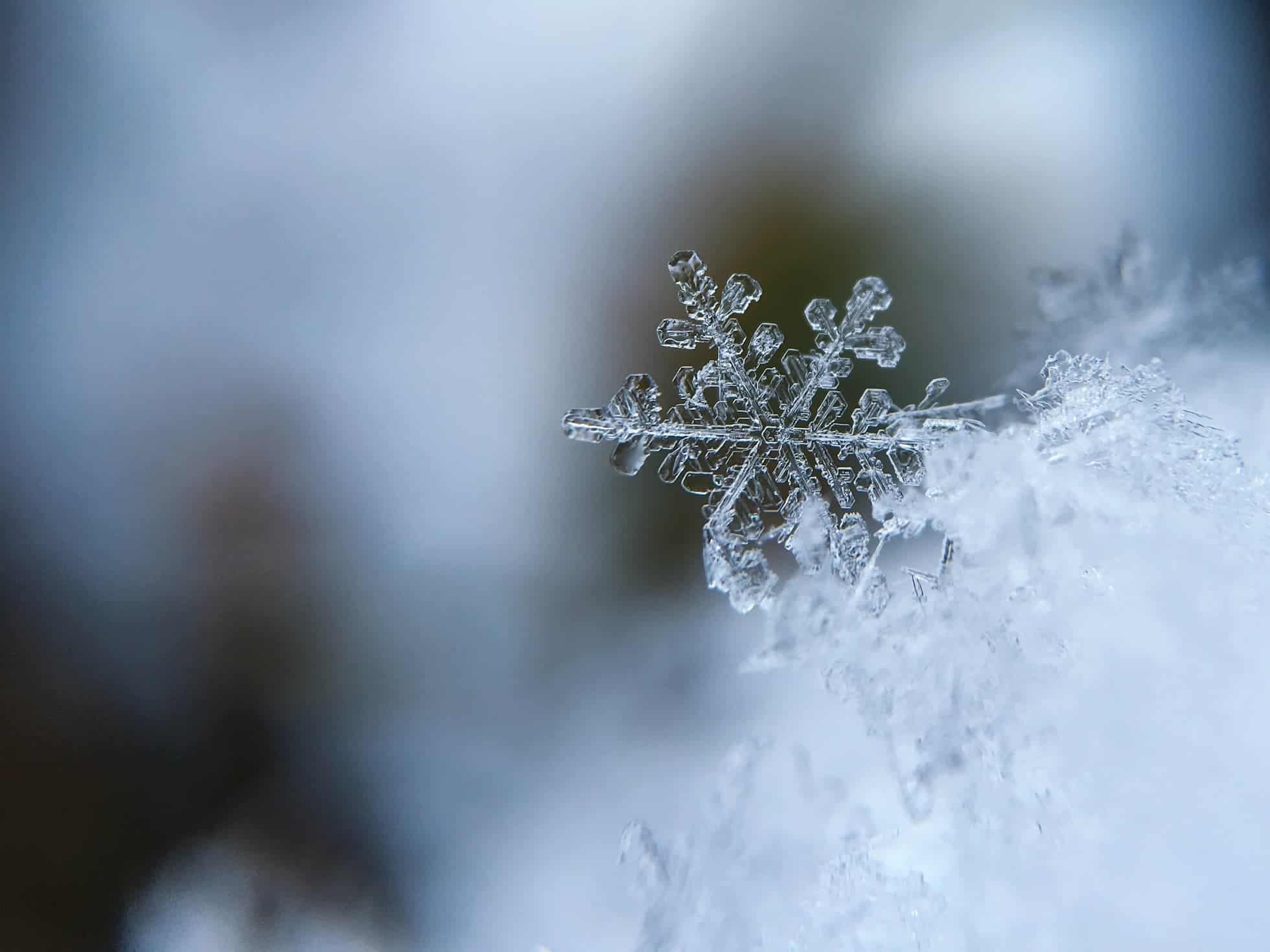 Winter ice