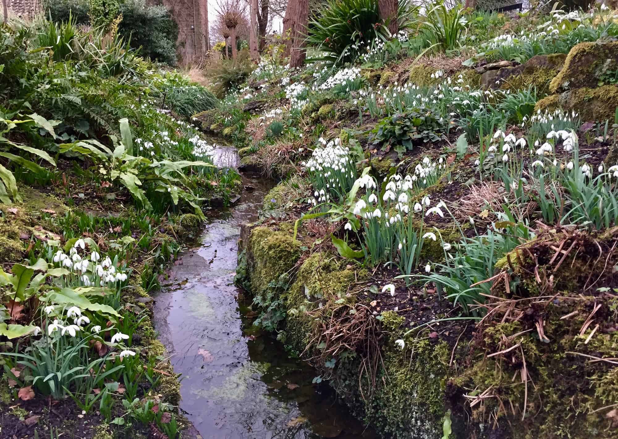 East Lambrook Manor Gardens